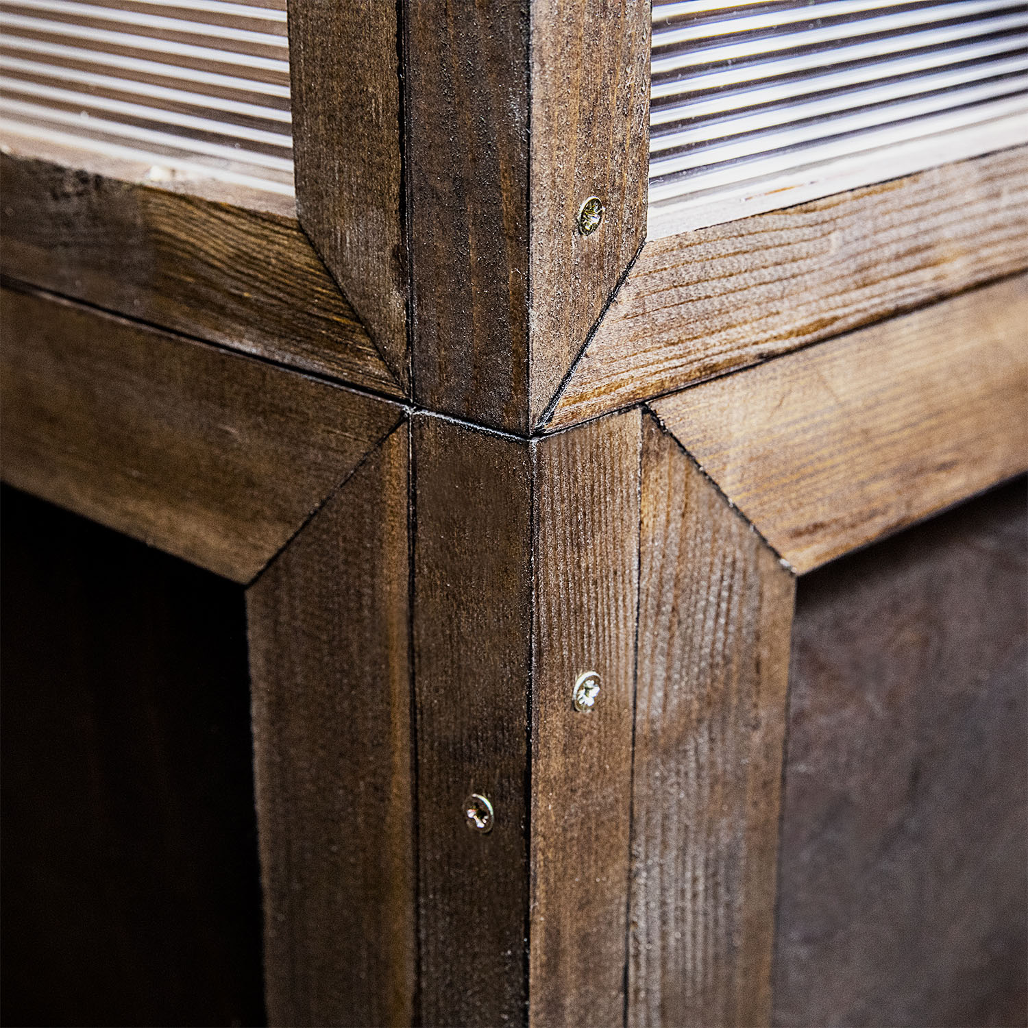 mini szklarnia domowa