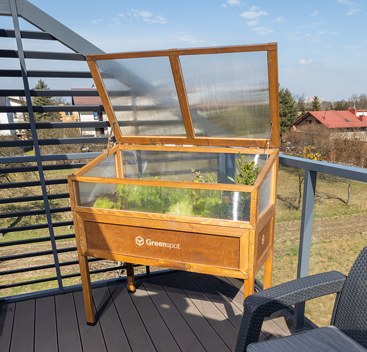 mini szklarnia na taras