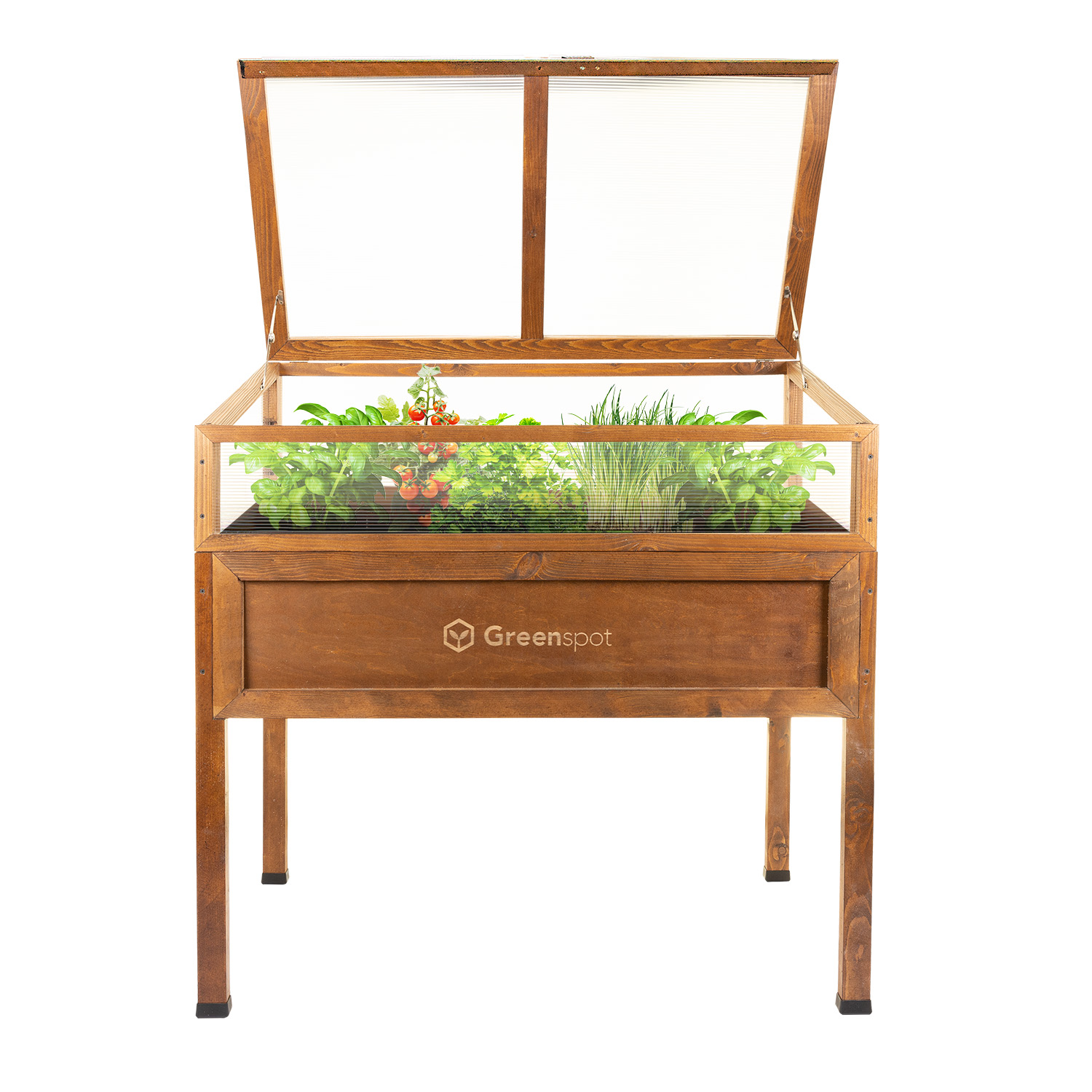 mini szklarnia na warzywa