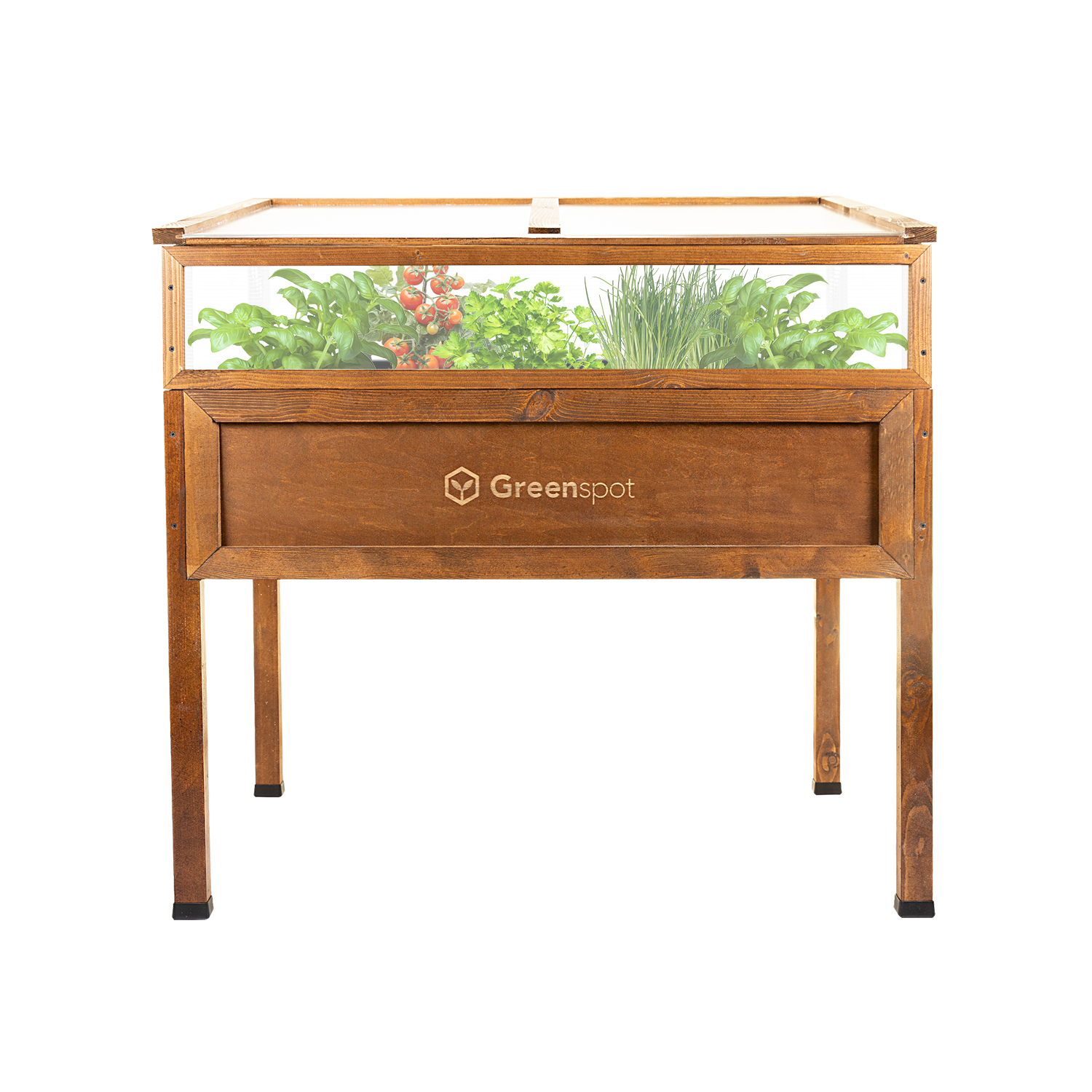 mini szklarnia na warzywa