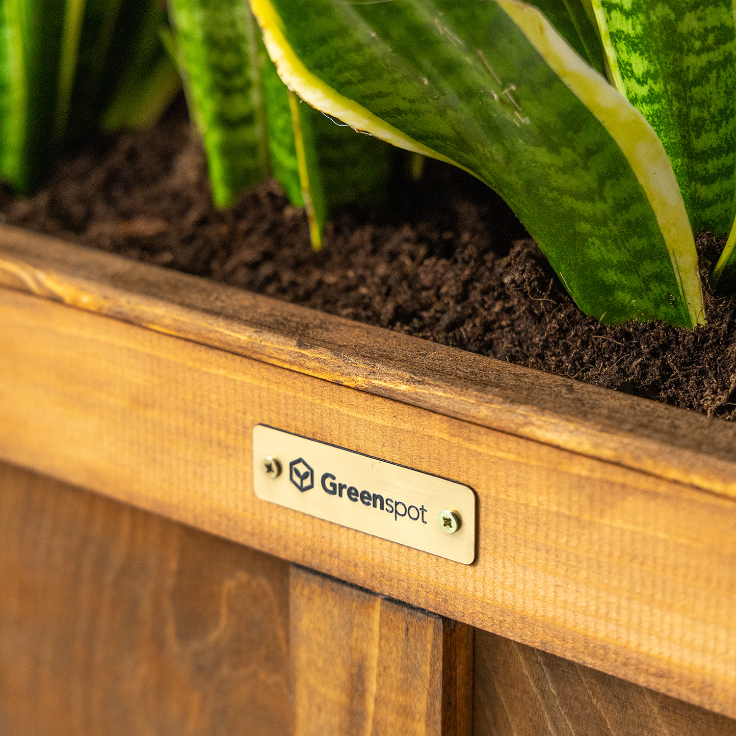 Greenspot logo na donicy vintage