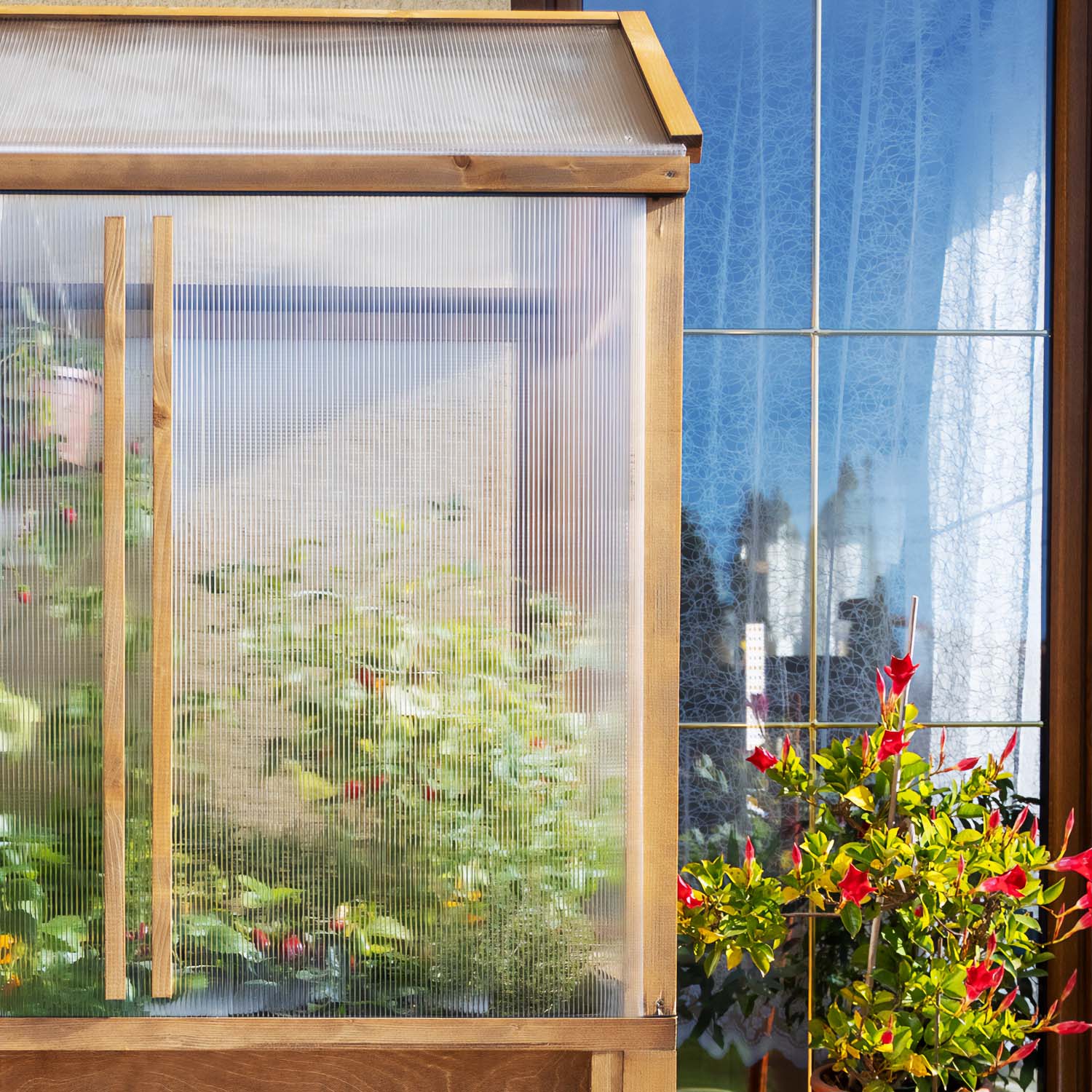 Mini szklarnia Lavish