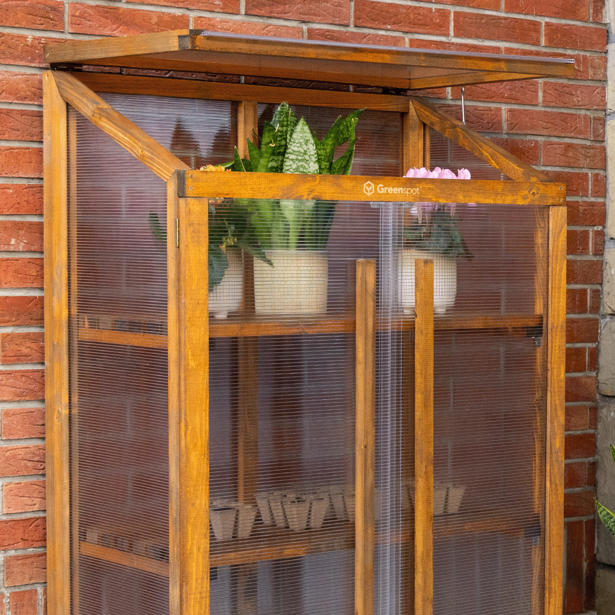 mini szklarnia origin