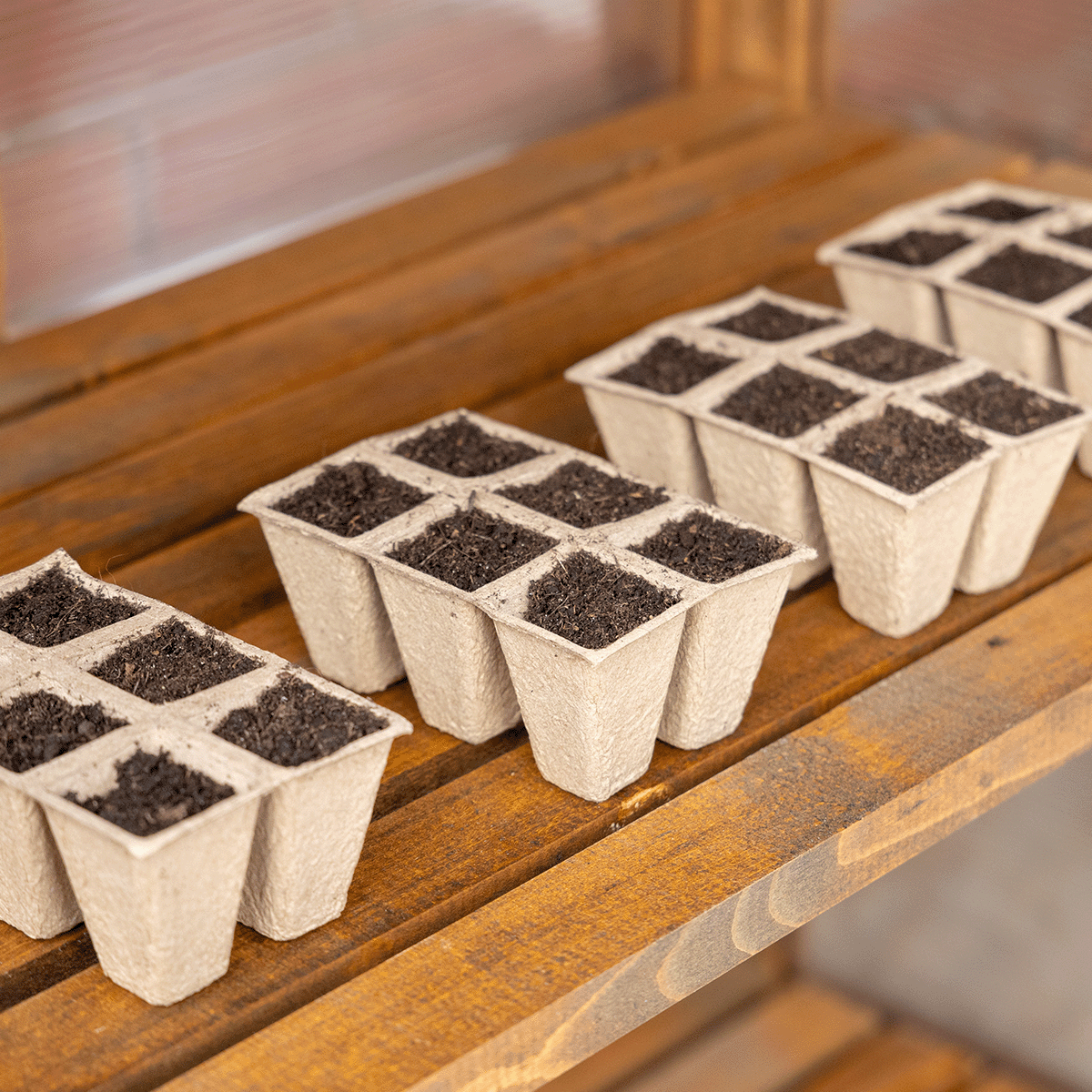 mini szklarnia origin sadzonki